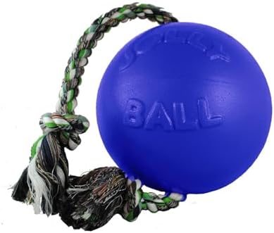 Jolly Pets Romp-N-Roll Rope & Ball Dog Toy, 4.5 in Small, Orange