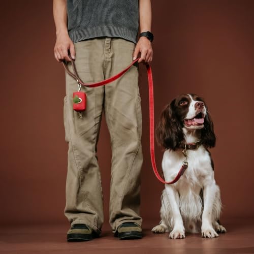 Didog PU Leather Dog Poop Bag Holder, Easy-Pull with Metal Clip, Red