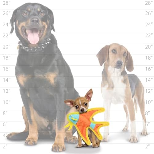 Tuffy® - DuraForce® : 2 Pack Jr Angel Fish Dog Toy: Ultra Durable Plush Toy with Multiple Layers & Reinforced Seams, Washable and Floats, DuraForce® Construction