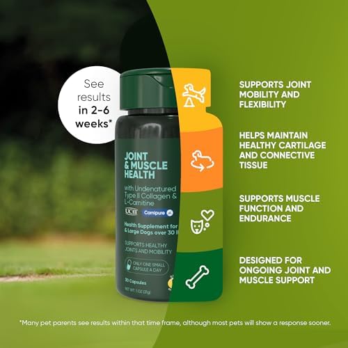 Joint & Muscle Health Supplement, Medium & Large Dogs, 30 Caps