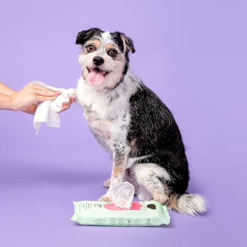 Raw Sugar Dog Wipes, Fur Kids Waterless Pet Wipes, 3 Pack, 60 Ct, Dog Grooming, Cleaning & Deodorizing, with Chamomile & Aloe Vera for Paws, Coat, Face & Ears, Vegan & Animal Test-Free, Apple Cream