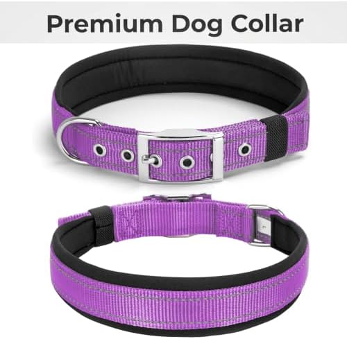 Reflective Soft Padded Dog Collar, 4 Sizes Adjusta Nylon Pet Collar