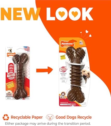 Nylabone Power Chew Dental Groove Bone Dog Chew Toy, Flavor Medley, X-Large