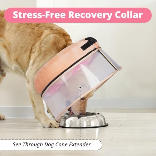 Inflatable Dog Cone with Anti-Licking Clear Shield, Fits Small Dogs
