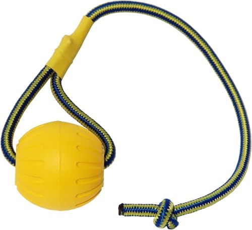 2 Pack Ball with Rope Dog Toy,Fling Dura Foam Toy,Dog Water Float Ball Rraining Boall on Rope (2 Pieces 9cm/3.5")