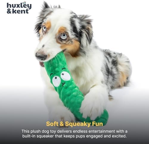 Huxley & Kent Funny Dog Toy w/Squeaker – Power Plush Squeaky Dog Toys for Small, Medium & Large Dogs – Soft Stuffed Animal for Indoor Play & Fetch - Fetchies® Dell Pickle, Large