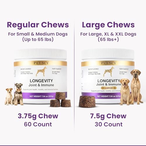 Petscy Longevity Hip & Joint + Immune Support Chews for Dogs - 3.75g Chew - High Dose Glucosamine, MSM, Chondroitin, Green Lipped Mussel, Omega 3, Probiotics - 60 Chews (Small & Medium Dogs)