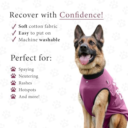 BellyGuard Dog Surgery Recovery Suit, Male Female After Spay Neuter Onesie
