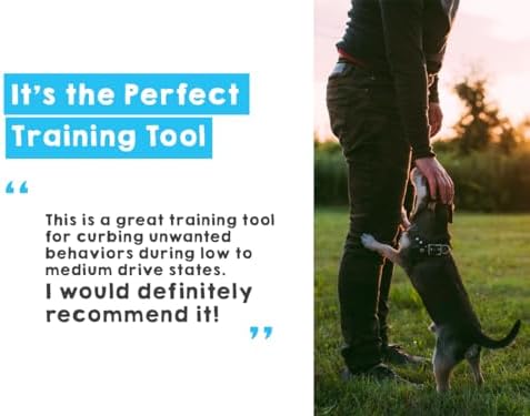 Ultrasonic Dog Bark Deterrent & Behavior Corrector - Stop Barking, Jumping, Aggression Without Yelling - Just Point & Press! Backed by Kevin Harrington from Shark Tank (Black Rechargeable)