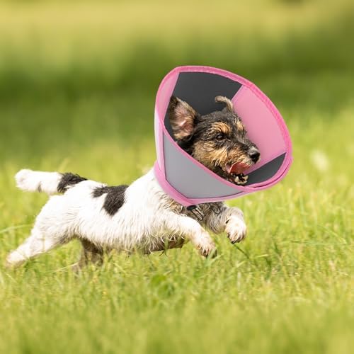 Queenmore Dog Cones for Large Dogs, Adjustable Dog Cone Collar After Surgery, Soft Cone for Dogs, Comfortable Recovery Cones Alternative for Pets to Stop Licking (Light Pink,XL)