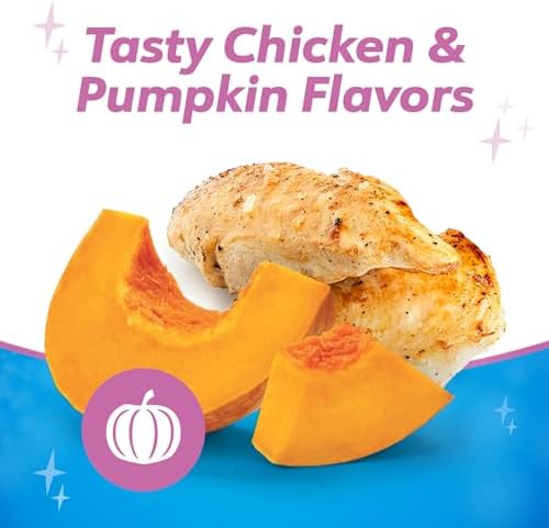 Dentalife Purina Plus Digestive Support Chicken and Pumpkin Flavor Large Dog Dental Chews - (2) 19 ct. Pouches