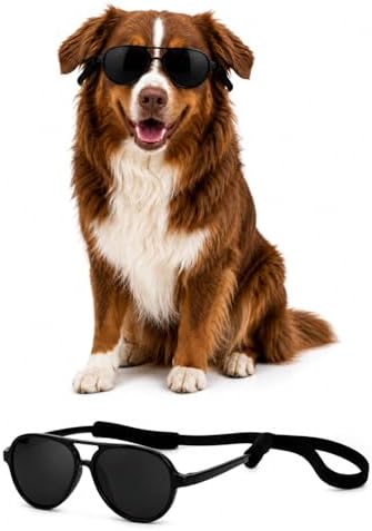 G010 Dog Pet Costume Aviator Sunglasses for Medium Breeds 18-40 lbs (2-Pack Black + Clear-Mirror, uv400)