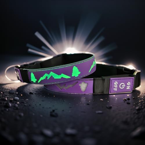 Customlized Name Flashing USB-C led Light up Dog Collar with airtag Holder, Subversive 3D Design Comfortable and Soft Material,Multicolored Lighting (Purple, S(7.87-11.8"))