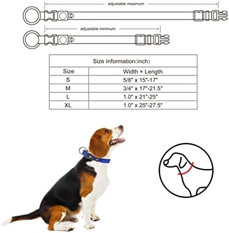 Dog Collar Bundle for Medium Dogs (Width- 3/4", Length - 17"-21.5") | Reflective Adjustable Raspberry Pink, & Blue Dog Collar | No-Choke Vest with Lightweight Reflective Air Mesh