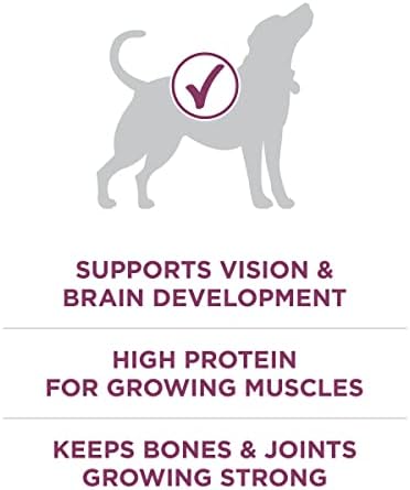 Purina ONE Plus Healthy Puppy Formula High Protein Natural Dry Puppy Food with Added Vitamins, Minerals and nutrients - (Pack of 4) 4 lb. Bags