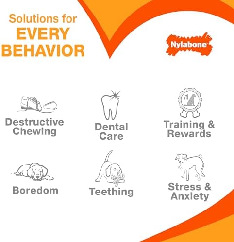Nylabone Power Chew Dental Groove Bone Dog Chew Toy, Bacon Flavor, Medium