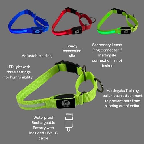 Light-Up Martingale Training Adjustable Dog Puppy Collar - REMIPET - Waterproof, LED Illuminated, USB Rechargeable, Reflective Safety, Durable, Nylon, Gift (Blue, Xtra-Large)