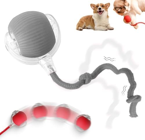 Interactive Rolling Dog Ball - 2025 Upgraded Version, 360 Intelligent Automatic Moving Toy for Dogs and Cats (Gray)