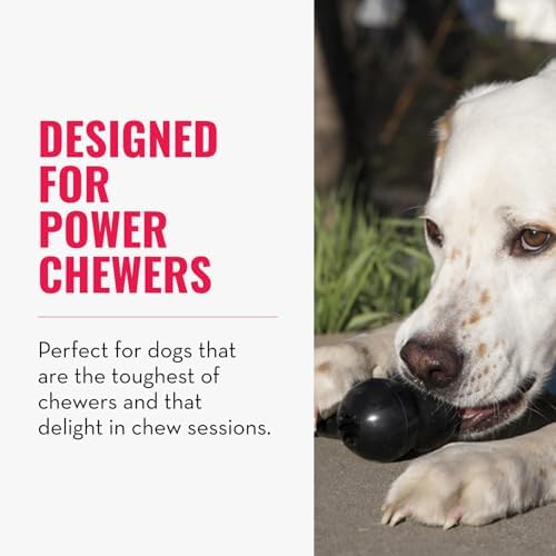 KONG Extreme Goodie Bone, Durable Natural Rubber, Black, for Medium Dogs