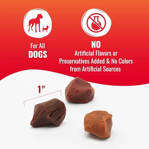 Good 'n' Tasty Kabob Bites Soft & Chewy Dog Treat, 4 oz (12 Pack)