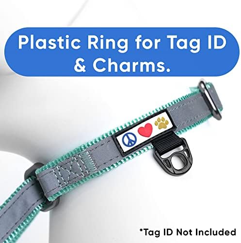 Pawtitas Personalized Dog Collar Martingale Dog Collar with Name Phone Number Reflective Martingale Dog Collar Customized Collar for Large Dogs | Teal Custom Dog Collars for Large Dogs