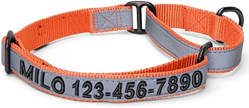 Pawtitas Customized Martingale Dog Collar Reflective Reflective Dog Collar Embroidered Personalized Name Phone Number Adjustable for Puppies Small Medium Large Size Dogs Small Orange