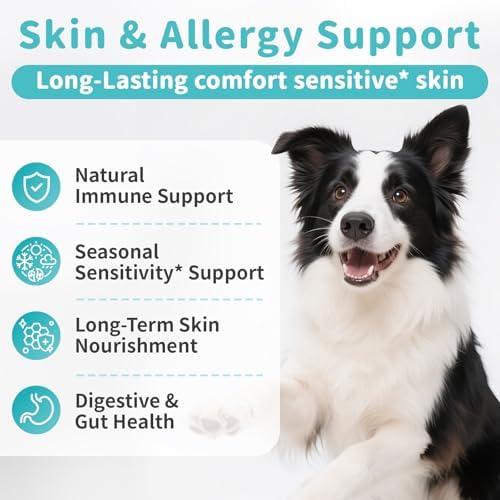 Dog Allergy Relief Soft Chews - Skin & Gut Health, Beef, 90 Count