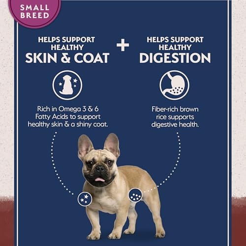 Natural Balance Limited Ingredient, Small Breed, Beef & Brown Rice, 4 lb