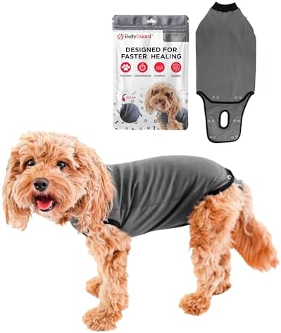 BellyGuard Dog Surgery Recovery Suit, Male Female After Spay Neuter Onesie