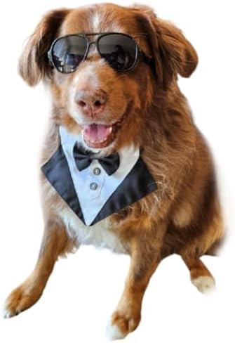 C10 Dog Pet Costume Set Retro Sunglasses + Tuxedo Bow Tie Adjustable for Medium Breed 18-40 lbs Party Prop Cosplay Photoshoot UV400 (Black Aviator + Black Tuxedo)