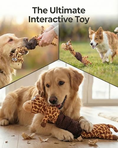 3-In-1 Squeaky Dog Toys for Chewers, for Small Medium Breed, 2 Pack