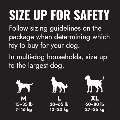 KONG Extreme Goodie Bone, Natural Rubber, Black, for Extra Large Dogs