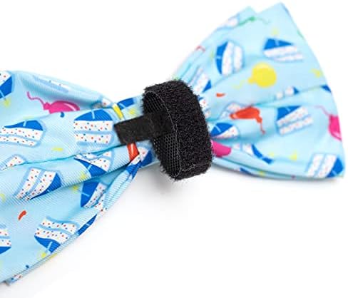 THE WORTHY DOG Everyday Patterned Pet Bow Ties for Dogs & Cats, Blue Plaid