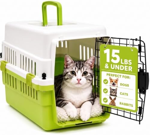 Hard-Sided Pet Carrier for Cats and Small Dogs, 20" Sturdy Travel Kennel with Secure Wire Door & 360° Ventilation, Portable Plastic Crate for Vet Visits & Car Travel (White/Green)