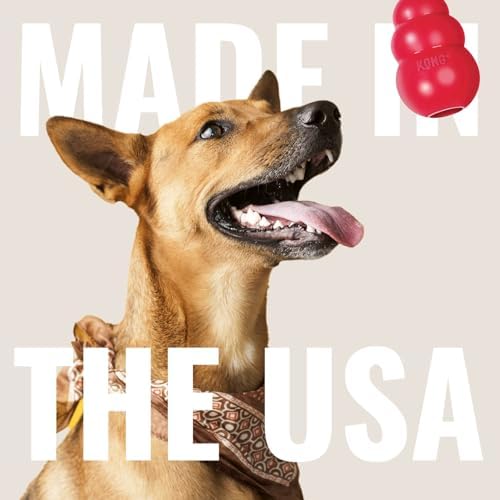 KONG Extreme Goodie Bone, Durable Natural Rubber, Black, for Medium Dogs