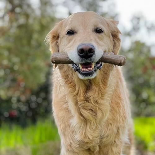 Nylabone Strong Chew Stick Made with Real Wood Dog Chew Toy, X-Large