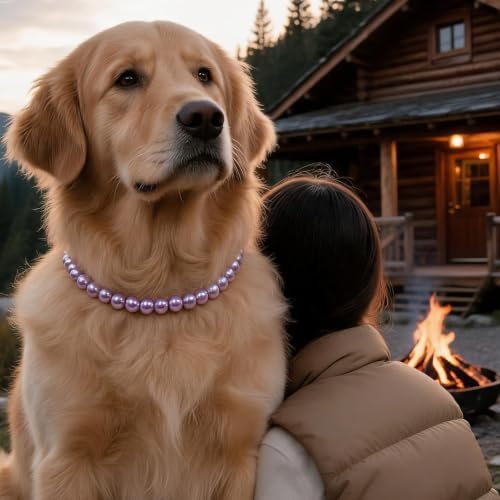 Iridescent Purple Beaded Dog Collar, Fashion Pet Necklace for Large Dog