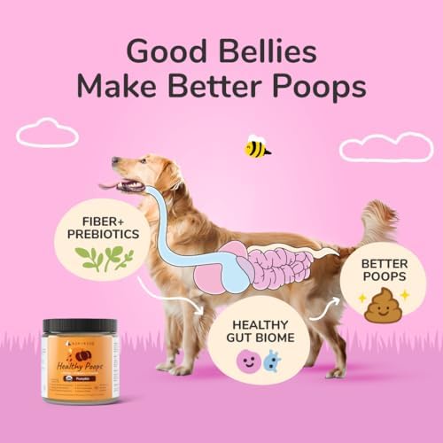 kin+kind Healthy Poops – USDA Organic Pumpkin Powder for Dogs and Cats – Prebiotic Pumpkin Powder, Supports Probiotic Activity – 4 oz