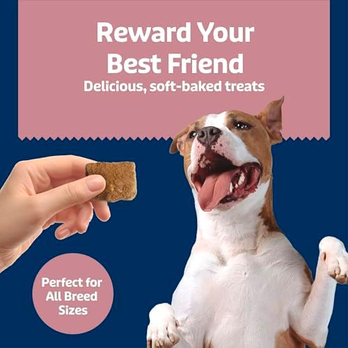 Blue Buffalo Soft & Chewy Health Bars, Baked with Real Chicken & Coconut, Natural Dog Treats Mineral-Enhanced for Flavor, 9 oz. Bag (Pack of 6)