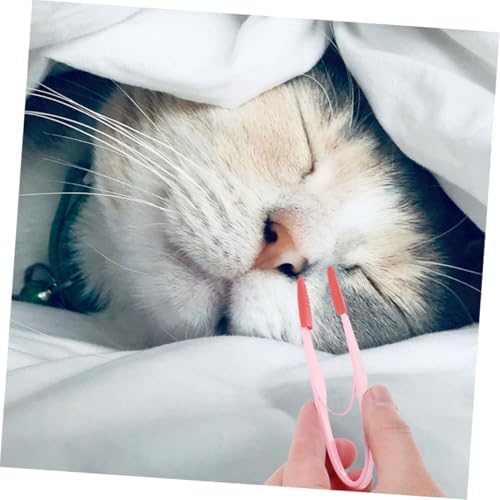 BESPORTBLE 2pcs Pet Eye Cleaning Comb for Dogs and Cats Tear Brush for Grooming Compact Soft Brush for Daily Use Pet Care