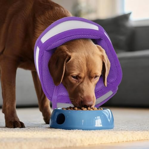 Dog Cone Alternative for Small Dogs to Stop Licking | Adjustable Recovery E-Collar for After Surgery & Wounds, Lightweight & Comfortable Elizabethan Protective Cone (Purple, M)