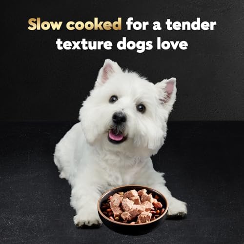 Cesar Classic Loaf in Sauce Adult Wet Dog Food Grilled Steak & Eggs Flavor, 3.5 oz Easy Peel Trays, 24 Count (Pack of 2)