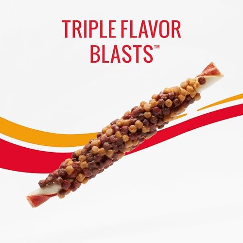GOOD 'N' FUN Blasts Long-Lasting Dog Treat Made with Real Protein, 4 oz