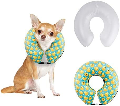 CuteBone Dog Recovery Cone for Small Medium Dogs & Cats