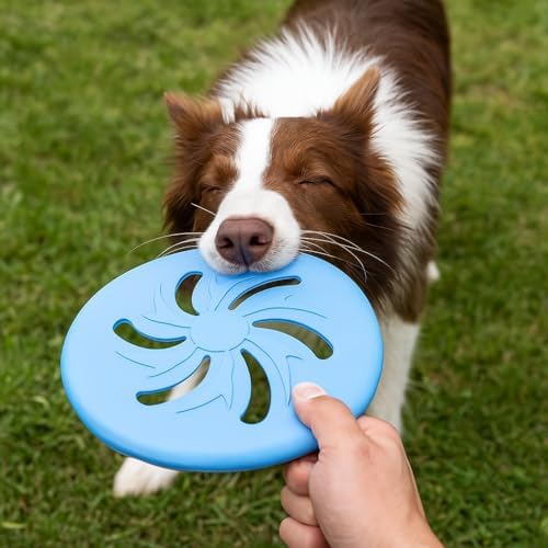 Dog Flying Disc EVA Material Pet Toy Outdoor Fetch Training Disc Durable Bite Resistant Safe on Teeth Lightweight Floating Interactive Disc (Purple)