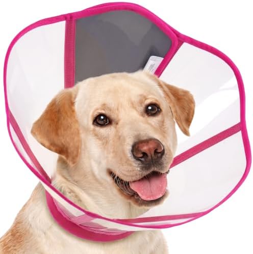 Dog Cone Collar After Surgery, Clear Recovery Collar to Stop Licking