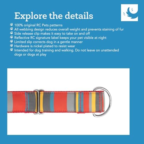 RC Pets All Webbing Training Collar L Gemstone