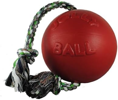 Jolly Pets Romp-N-Roll Rope & Ball Dog Toy, 4.5 in Small, Blue