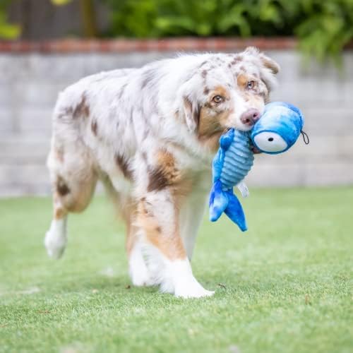 Huxley & Kent Slappies Plush Dog Toy, Jack Hammerhead, Small