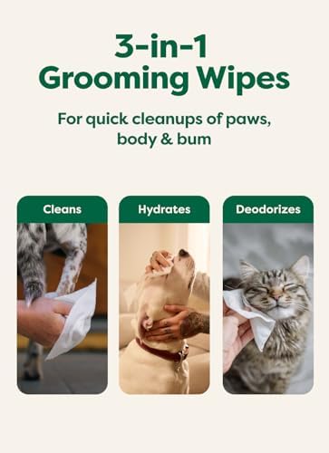Earth Rated Dog Wipes for Paws & Butt, Deodorizing, Unscented, 200ct
